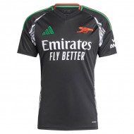 Arsenal Away Jersey 24-25